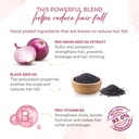 WOW Skin Science Onion and Black Seed Shampoo - 500ml Image