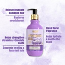 WOW Skin Science Rice Water Shampoo & Lavender 300ML Image