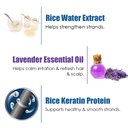 WOW Skin Science Rice Water Shampoo & Lavender 300ML Image